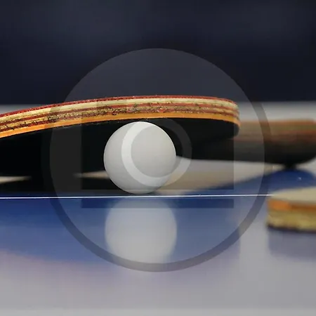 בית נופש Gorgeous In *